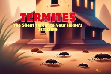 Termites The Silent Threat