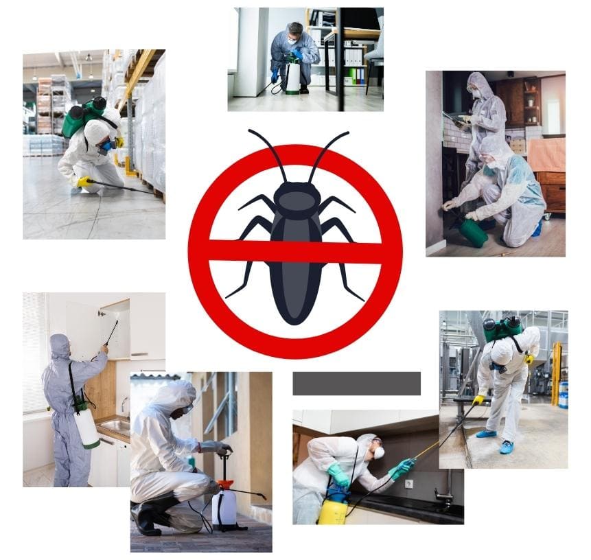 Pest Control Services