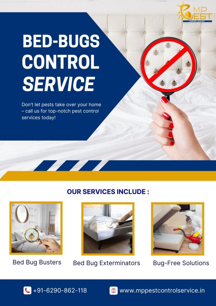 Bed Bugs Control