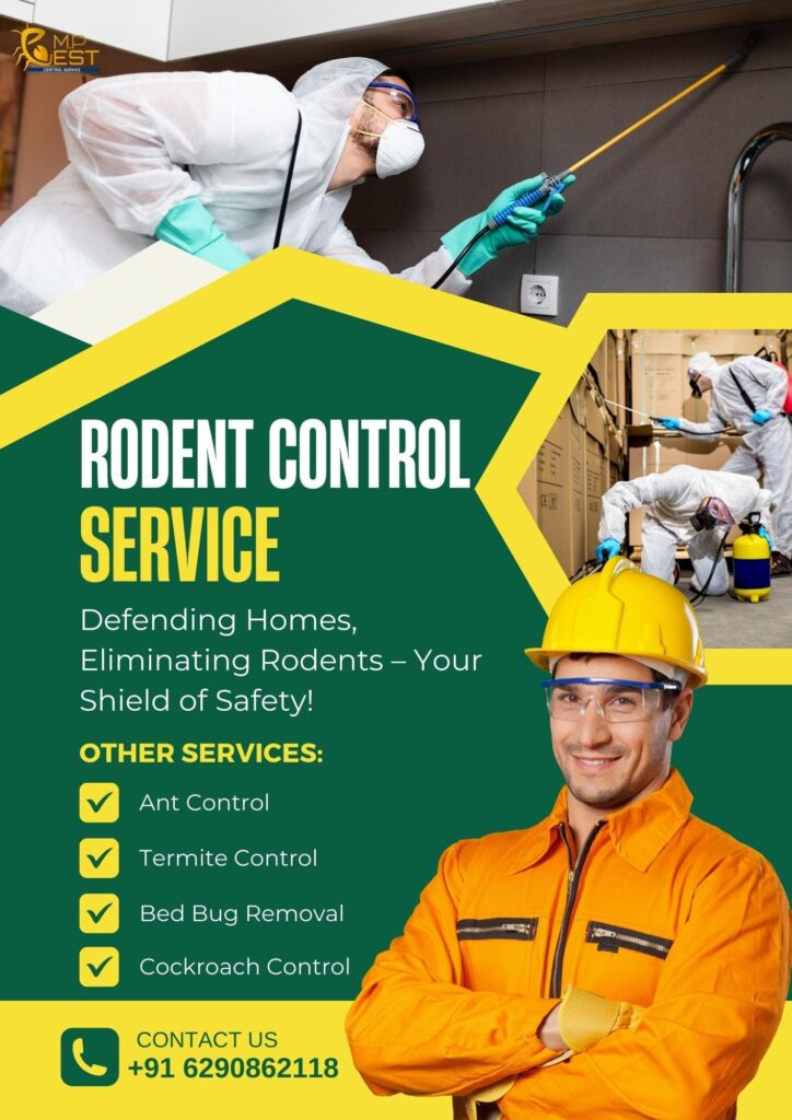 Rodent Control | M.P. Pest Control Service
