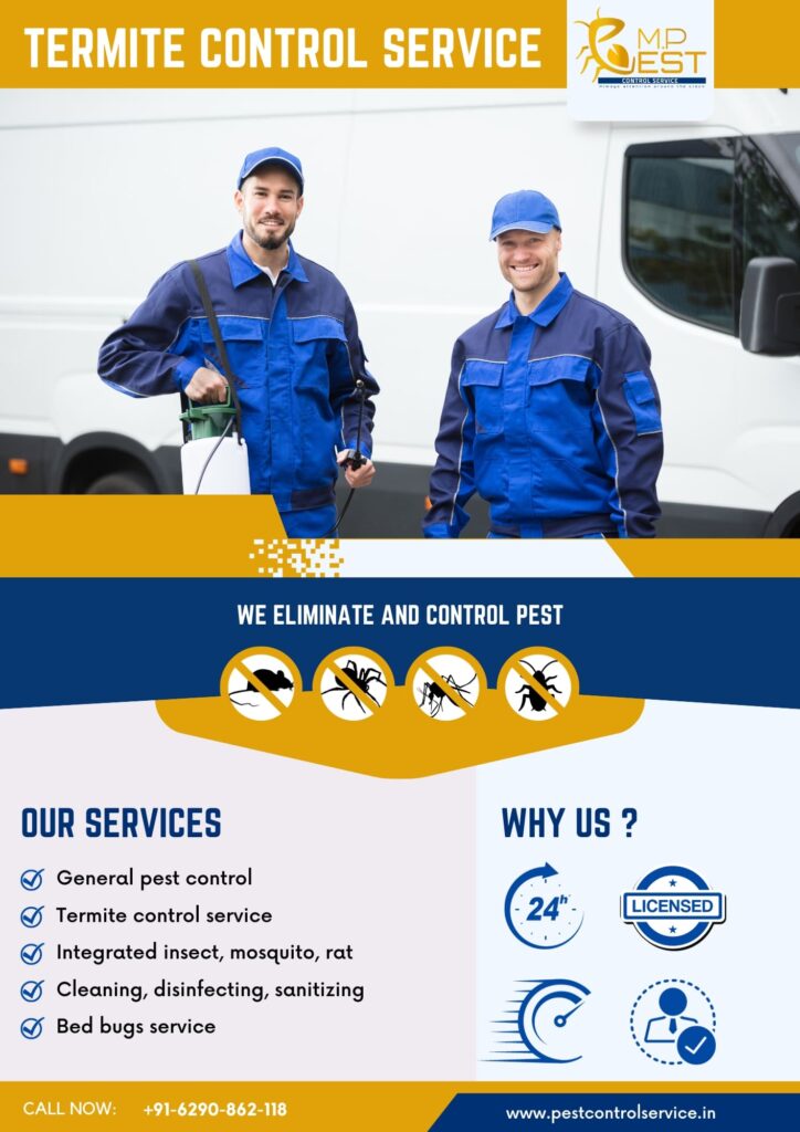 Termite Control Service | MP Pest Control Service